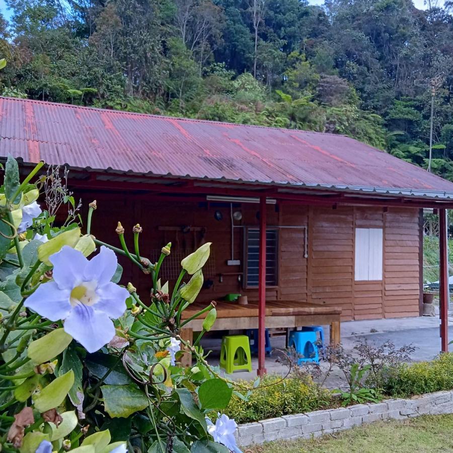 The Rustique Homestay